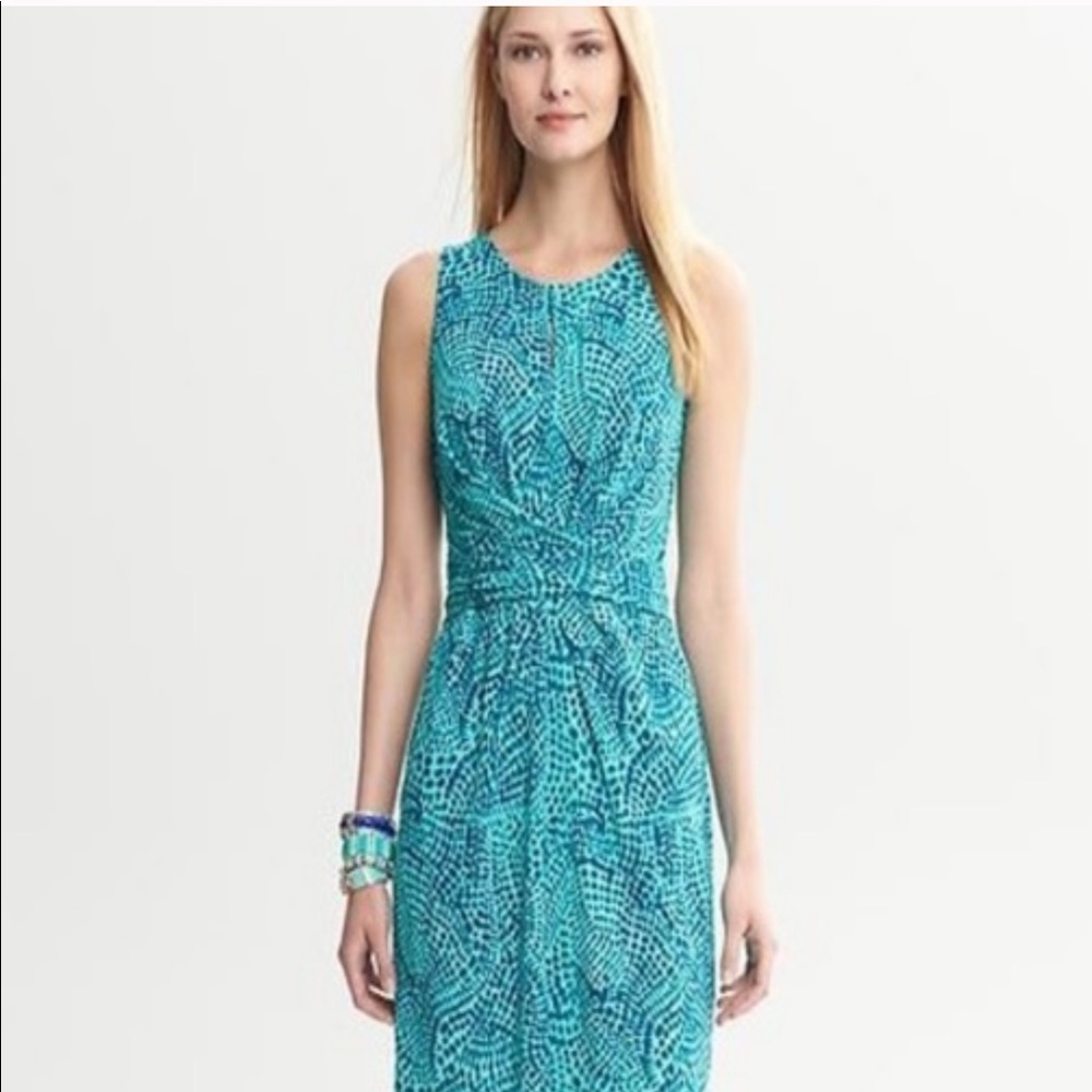 Gorgeous Banana Republic Issa Collection Dress